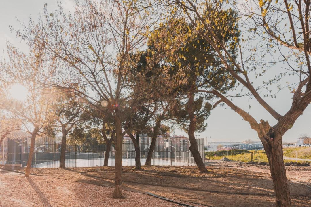 Photo of Others in Villa de Vallecas