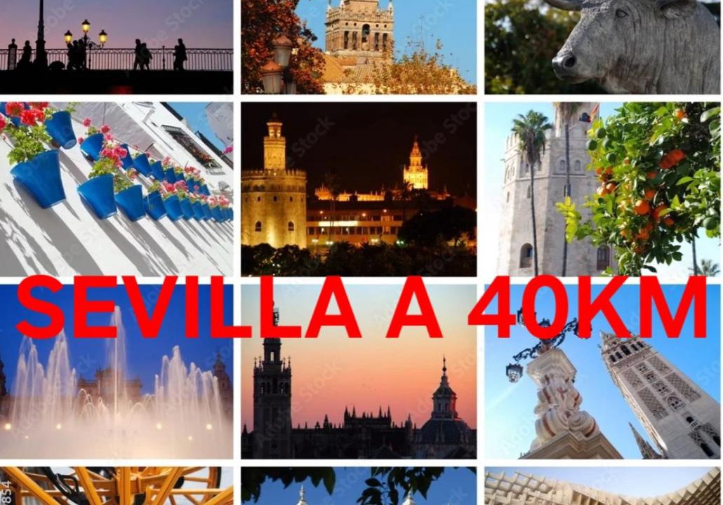 Photo of Others in Villalba del Alcor