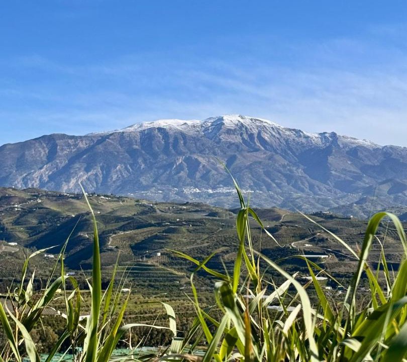 Photo of Others in Benamocarra