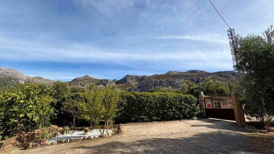 Photo of Others in Antequera