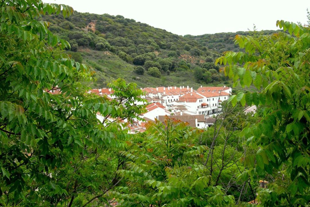 Photo of Others in Olmeda de la Cebolla