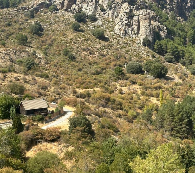 Photo of Others in Guejar Sierra