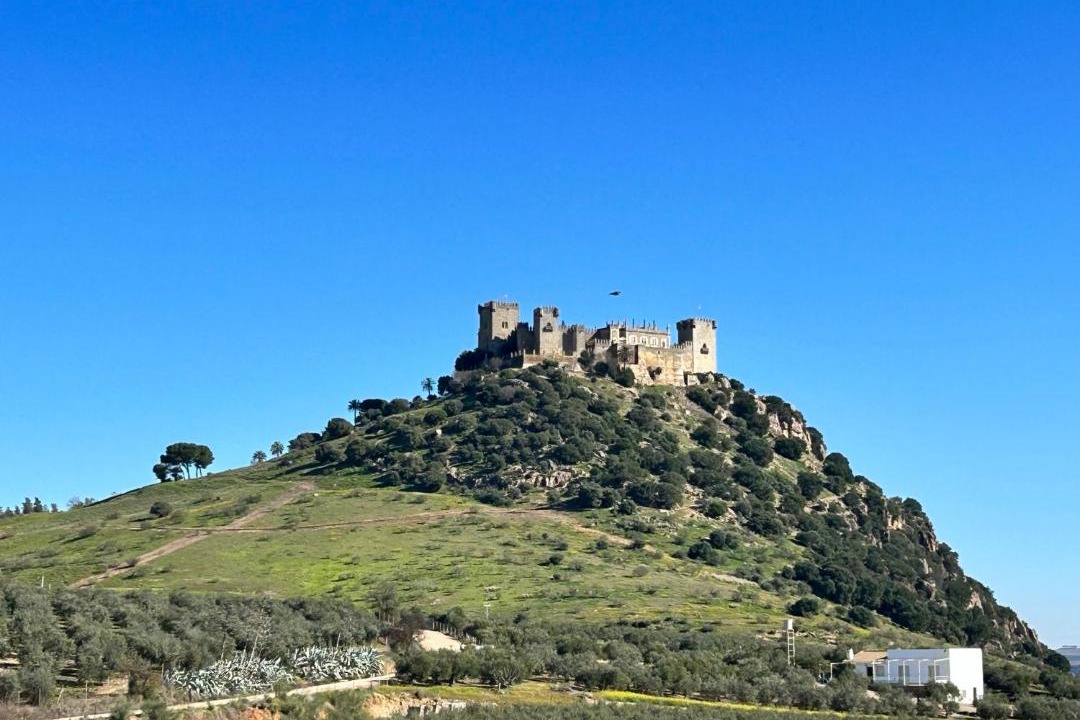 Photo of Others in Almodovar del Rio
