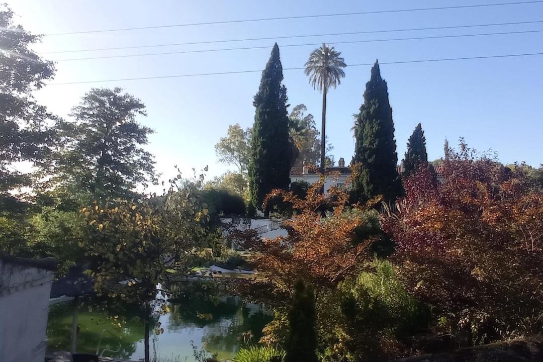 Photo of Others in Constantina