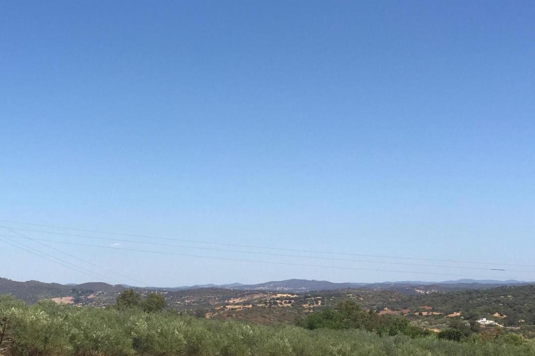 Photo of Others in Cantillana