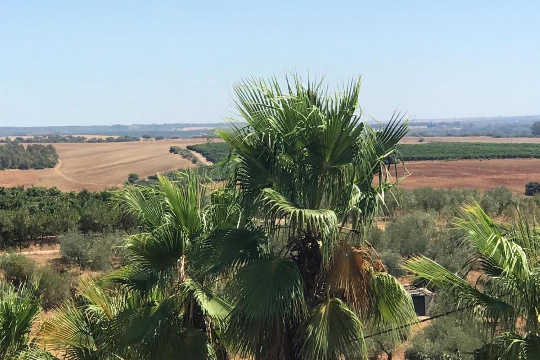 Photo of Others in Cantillana