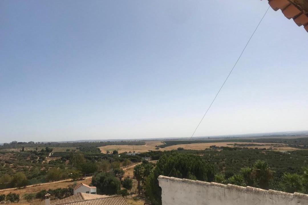 Photo of Others in Cantillana