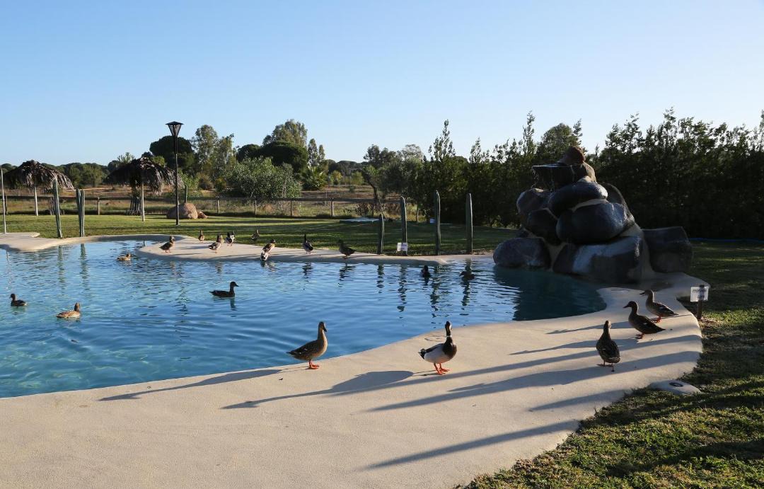 Photo of Others in Villamanrique de la Condesa