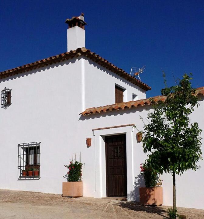 Photo of Others in Castano del Robledo