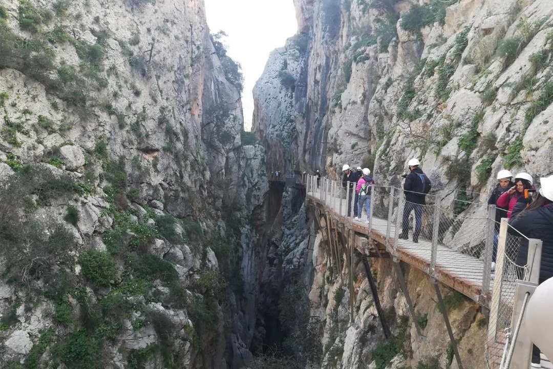 Photo of Others in Pizarra