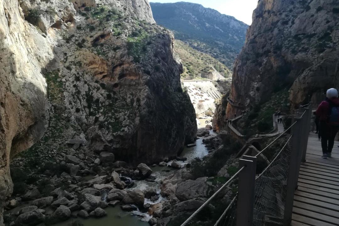 Photo of Others in Pizarra