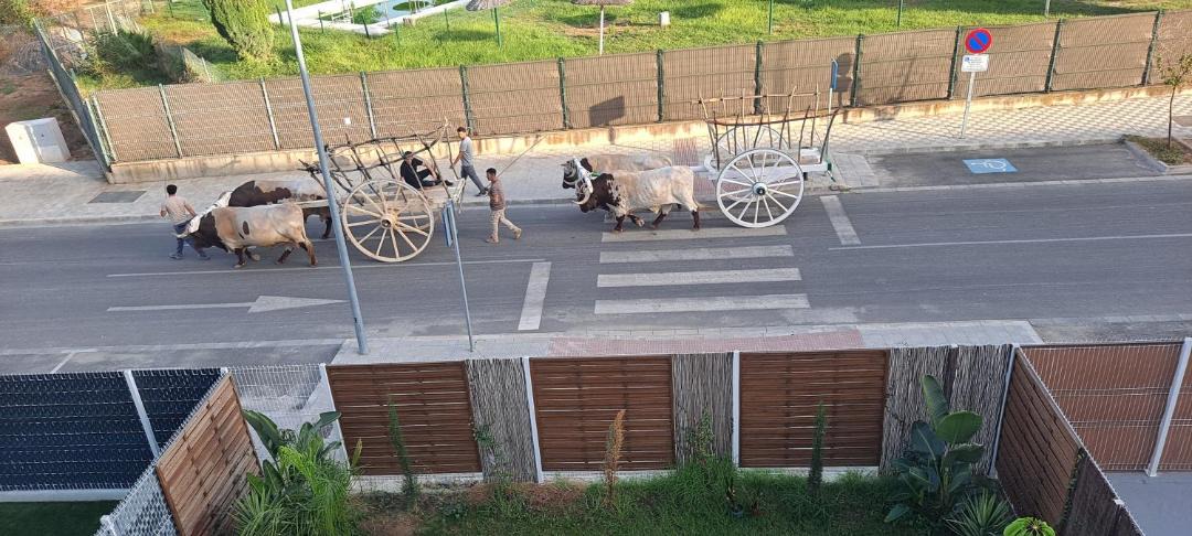 Photo of Others in Gines