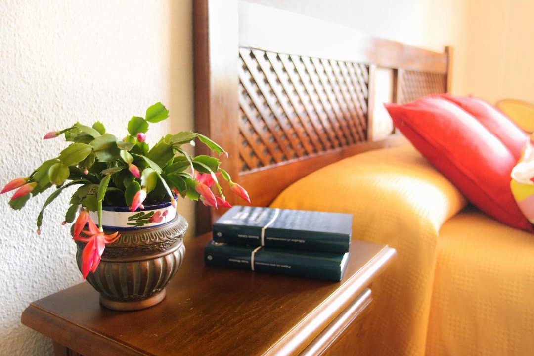 Photo of Livingroom in Galaroza