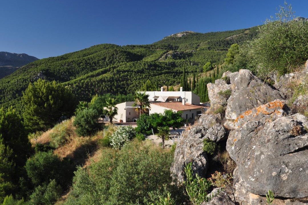 Photo of Others in Alcaucin