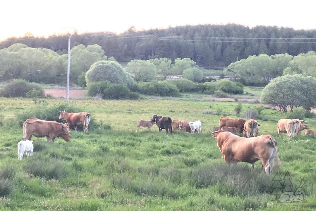 Photo of Others in Huerta de Rey