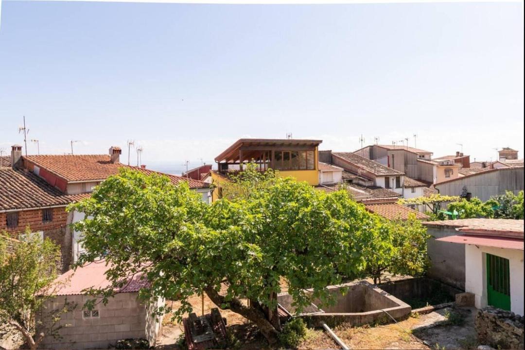Photo of Others in Talaveruela de la Vera