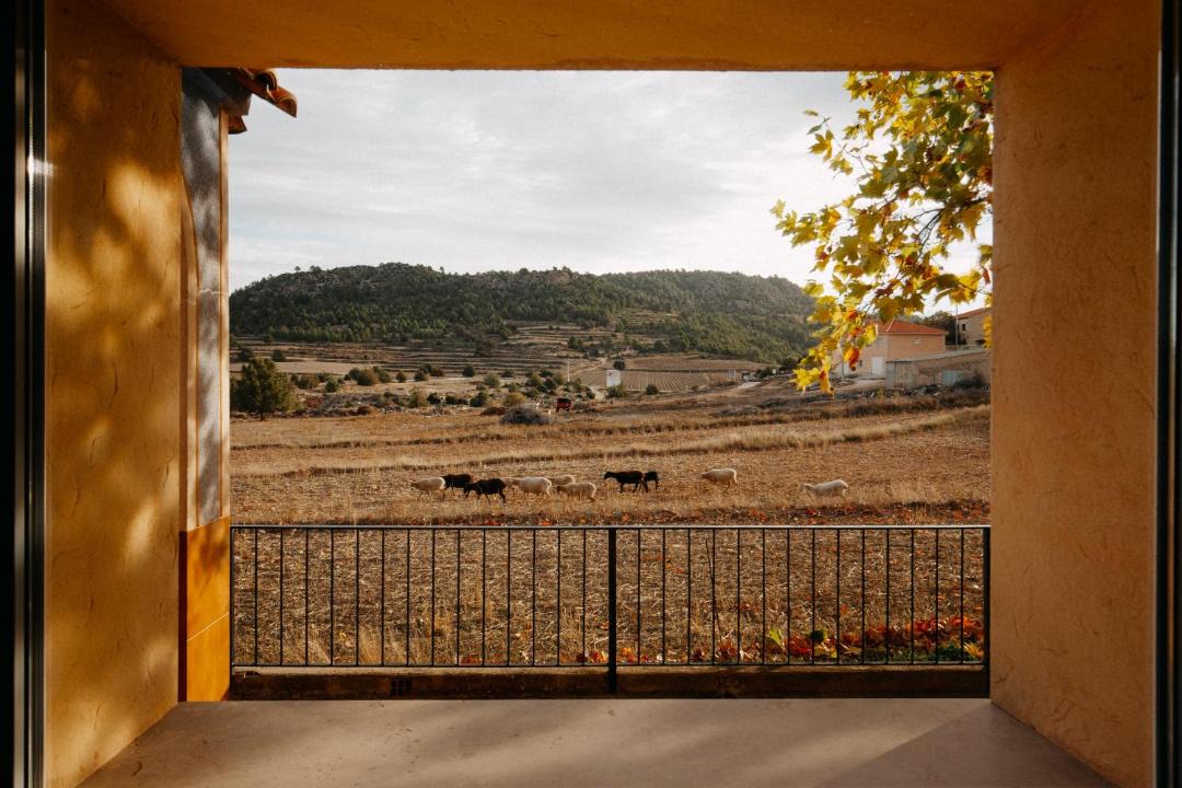 Photo of Others in Calar de la Santa