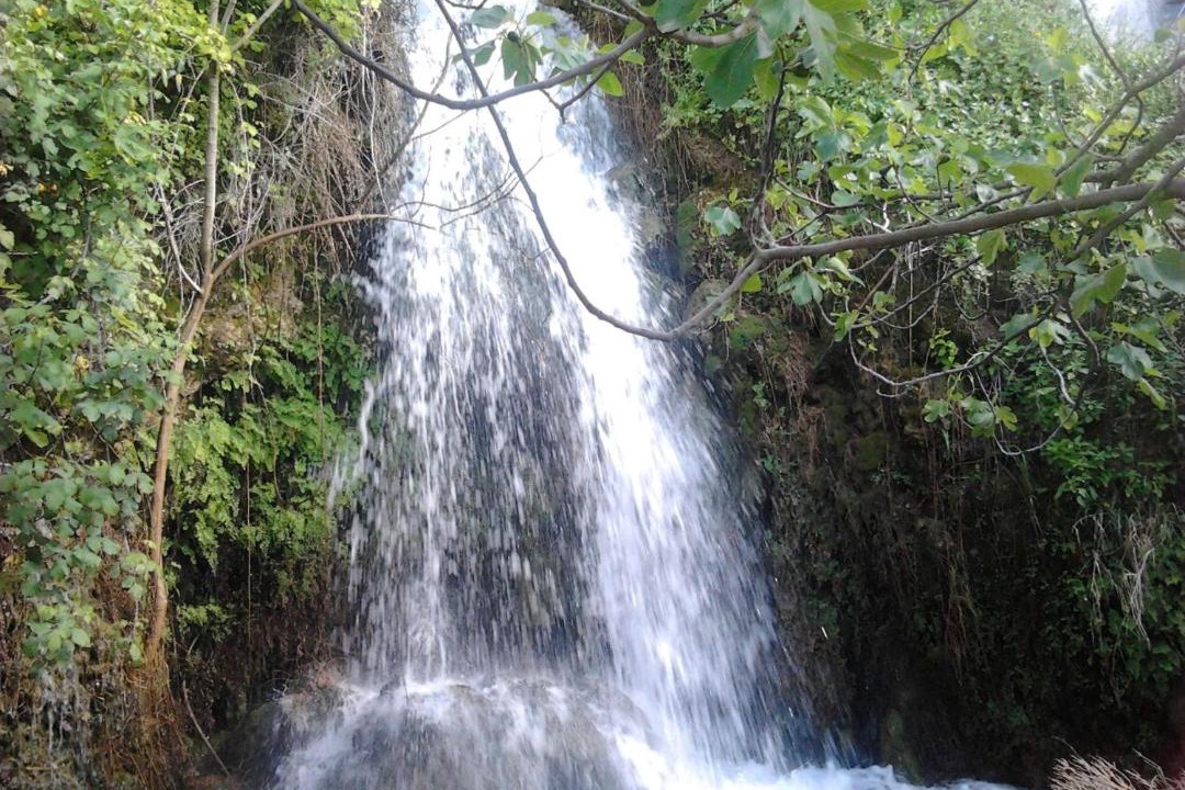 Photo of Others in El Bosque