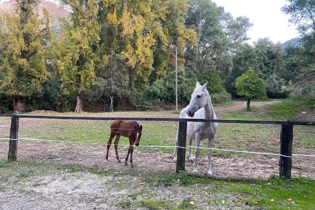 Photo of Others in Benamahoma