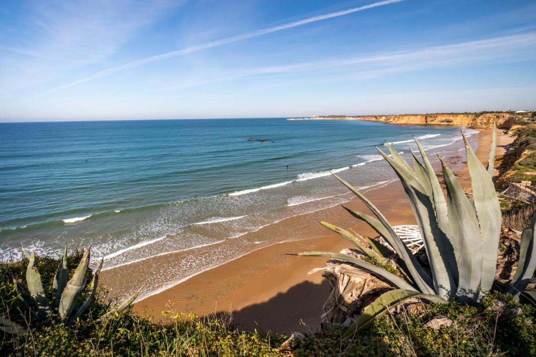 Photo of Others in Conil de la Frontera