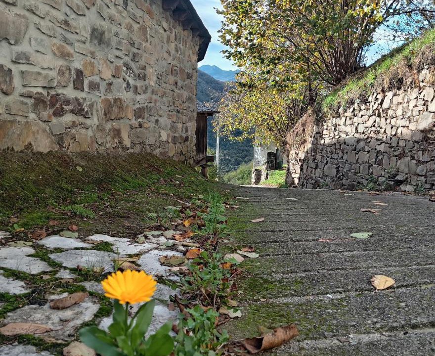 Photo of Others in Cangas del Narcea Municipality
