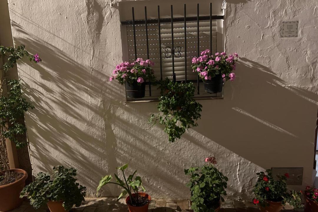Photo of Others in Valdepenas de Jaen