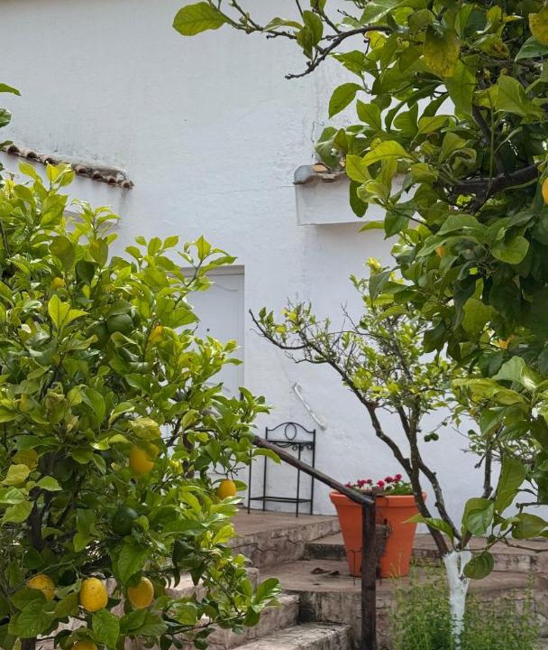 Photo of Others in Castilblanco de los Arroyos