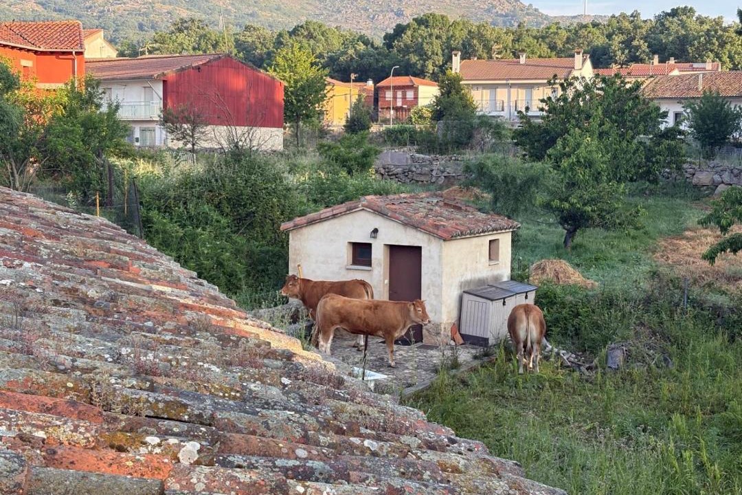 Photo of Others in Sorihuela