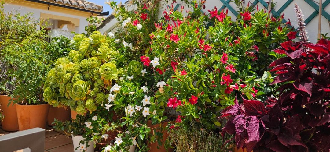 Photo of Others in Ronda