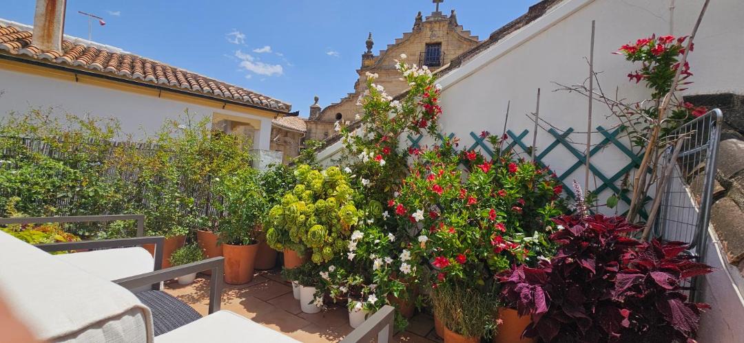 Photo of Patio Balcony in Ronda