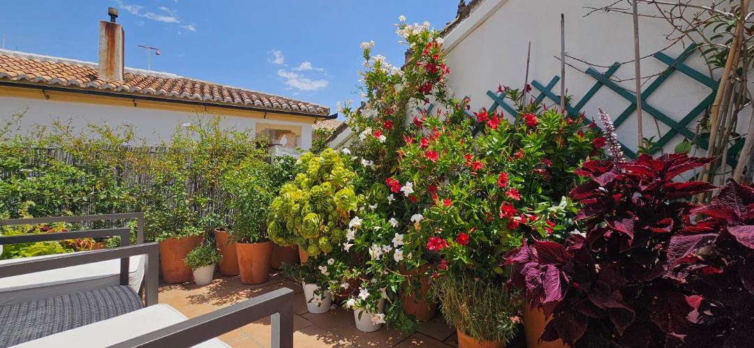 Photo of Patio Balcony in Ronda