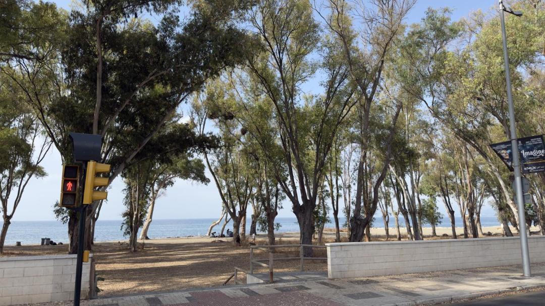 Photo of Others in Pedregalejo Playa