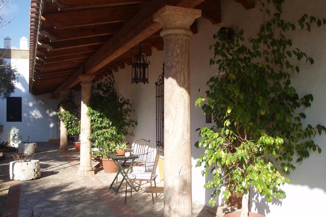 Photo of Others in Medina-Sidonia