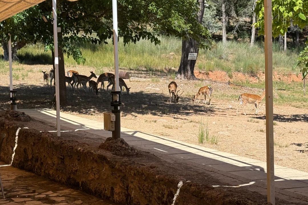 Photo of Others in La Iruela