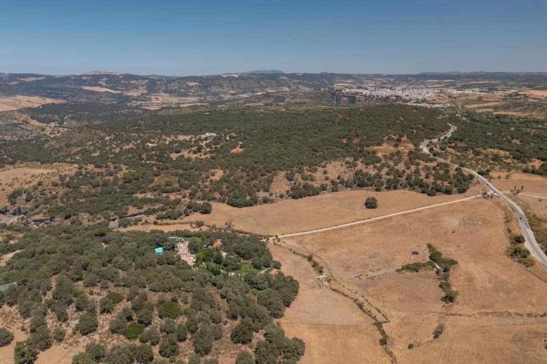 Photo of Others in Ronda
