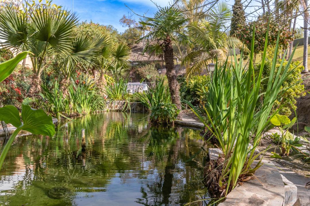 Photo of Others in Oasis del Capistrano
