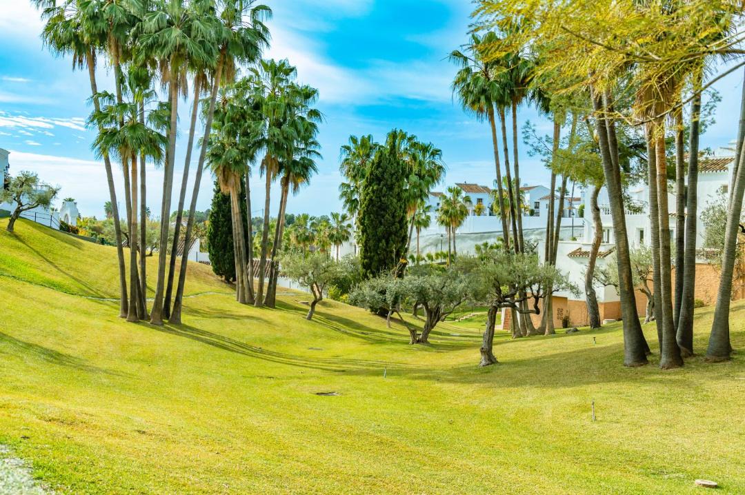 Photo of Others in Oasis del Capistrano
