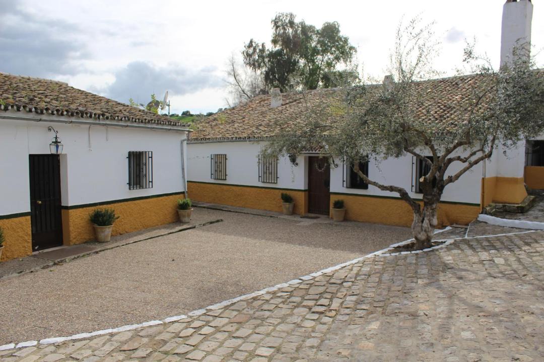 Photo of Others in Olvera
