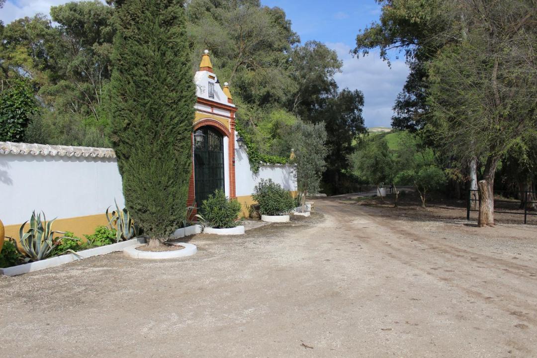 Photo of Others in Olvera