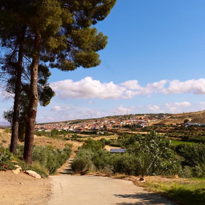 Photo of Others in Alcudia de Guadix