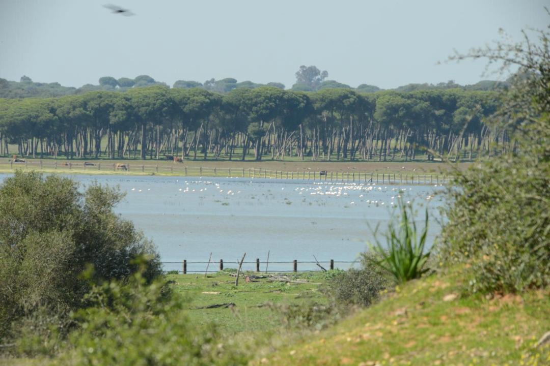 Photo of Others in Sector I - El Inglesillo