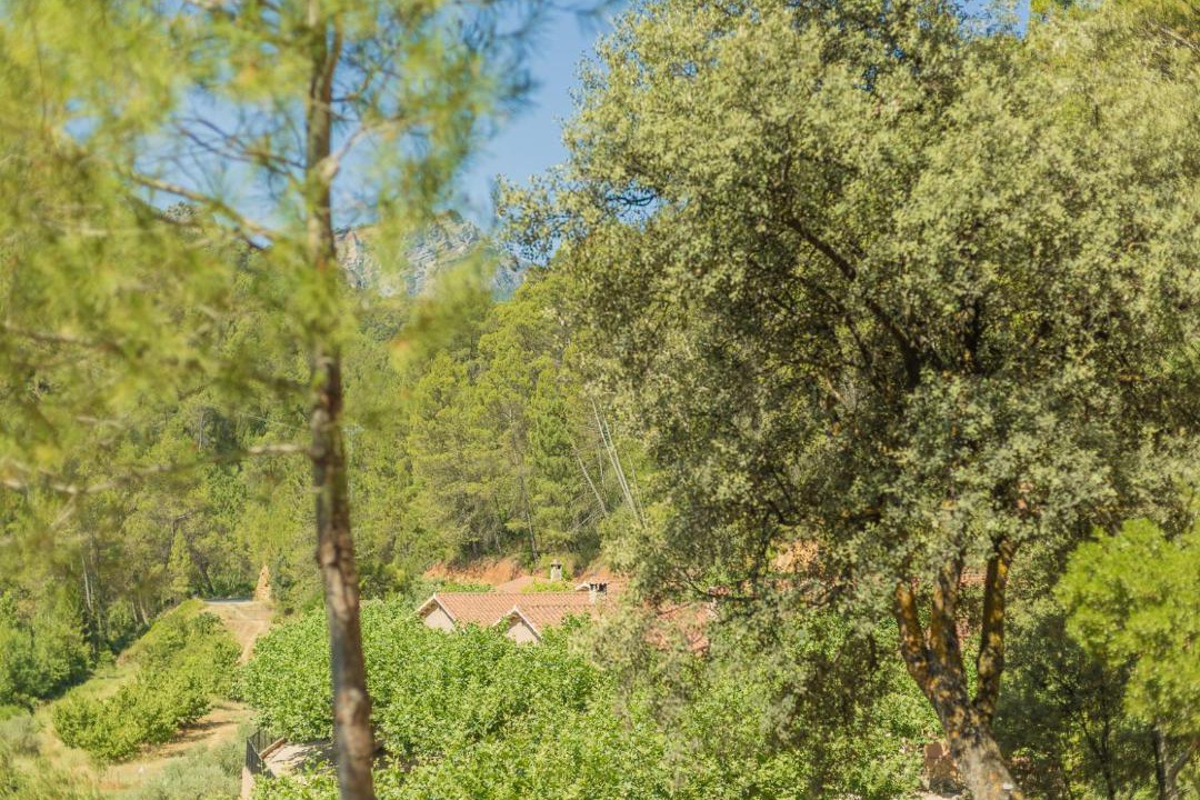 Photo of Others in Yeste