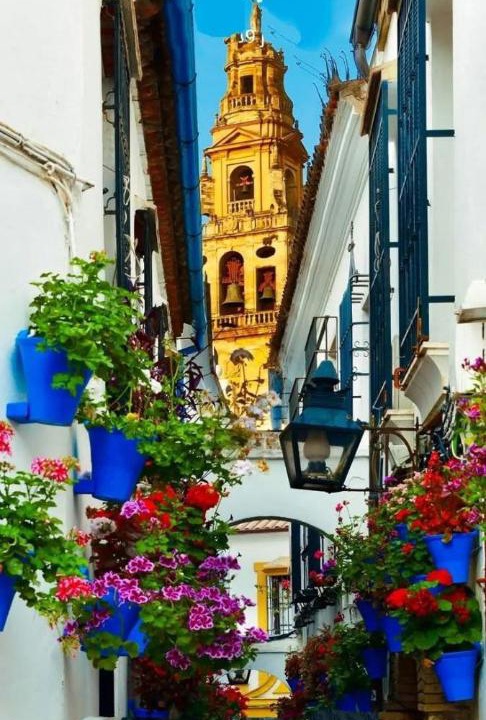 Photo of Others in Cordoba