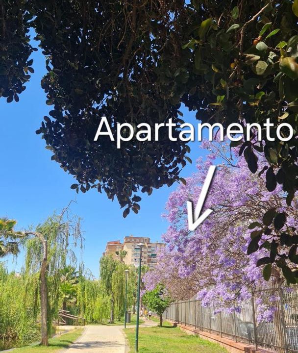 Photo of Others in Jardin de la Abadia