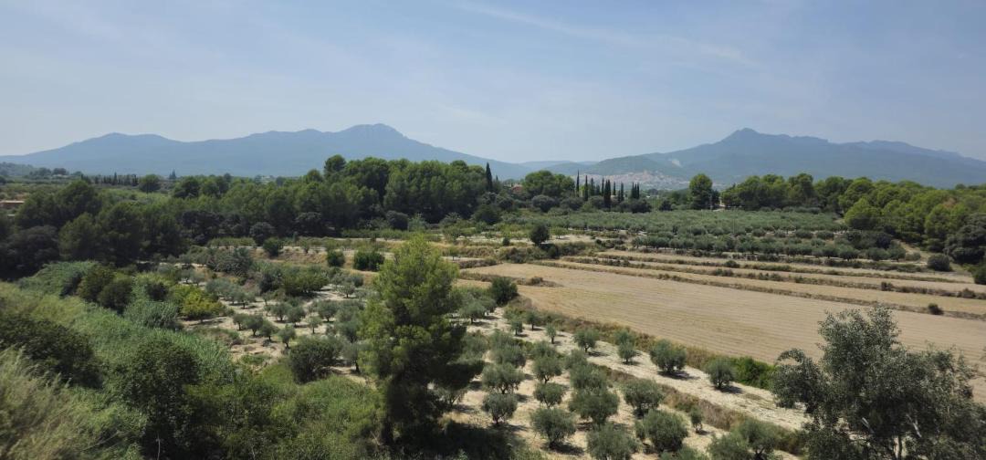 Photo of Others in Moratalla