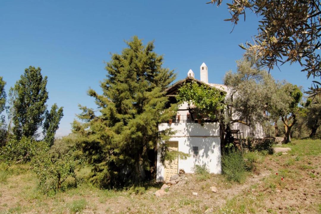Photo of Others in Antequera