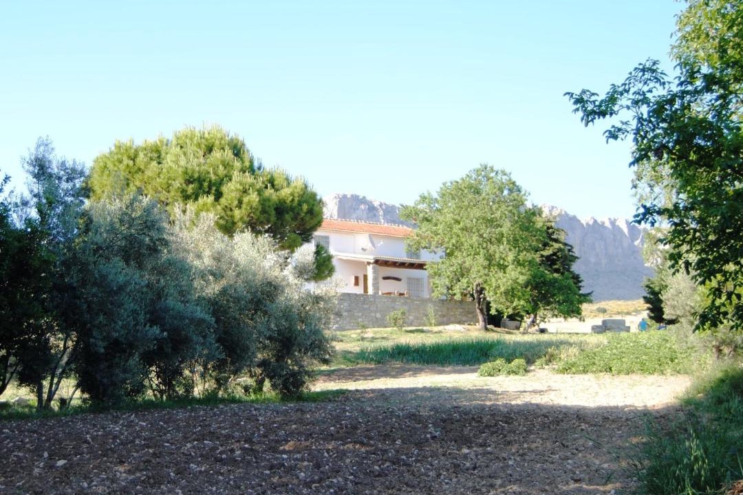 Photo of Others in Antequera