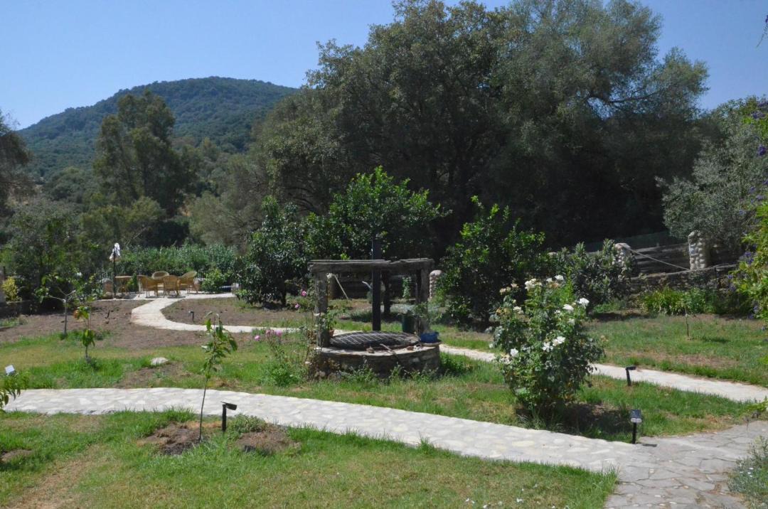 Photo of Outdoor in El Colmenar