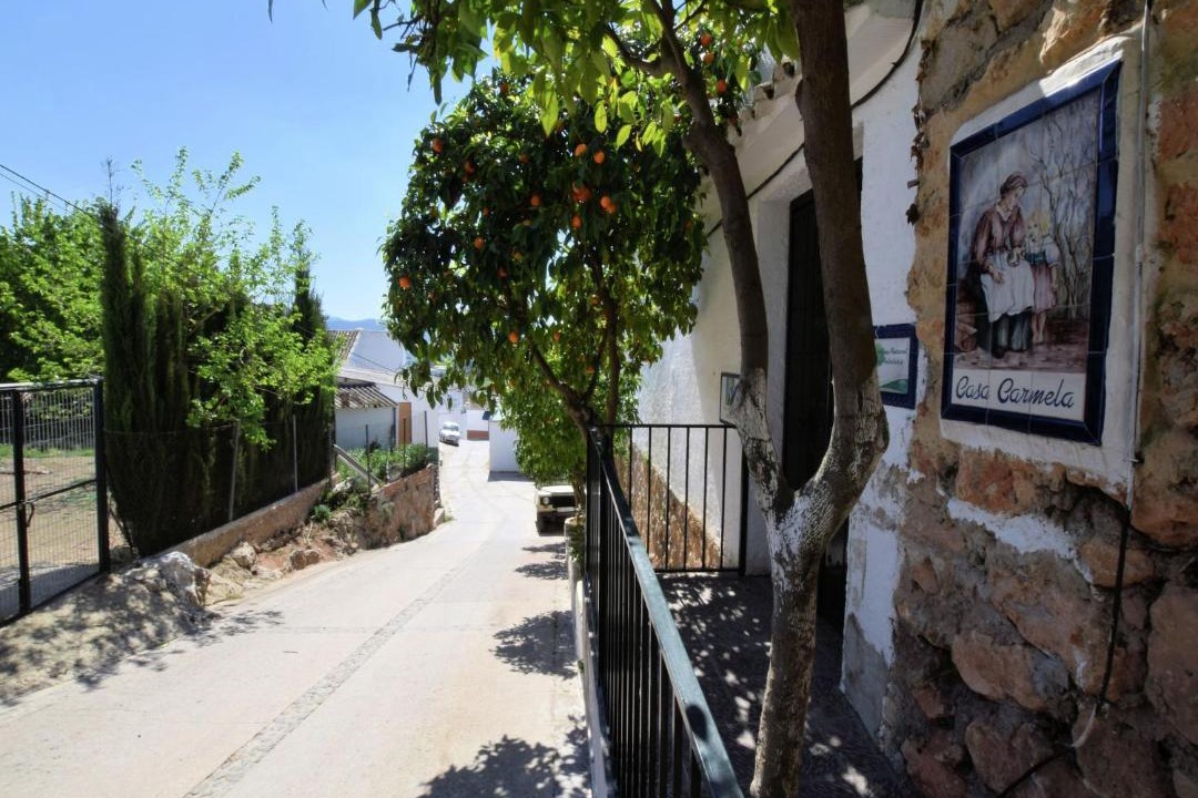 Photo of Others in Zagrilla