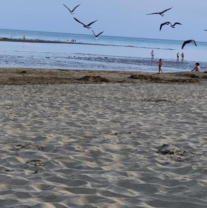 Photo of Others in Ayamonte